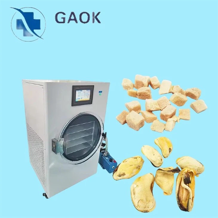 Laboratory Vacuum Home Food Freeze Drying Dryer Equipment